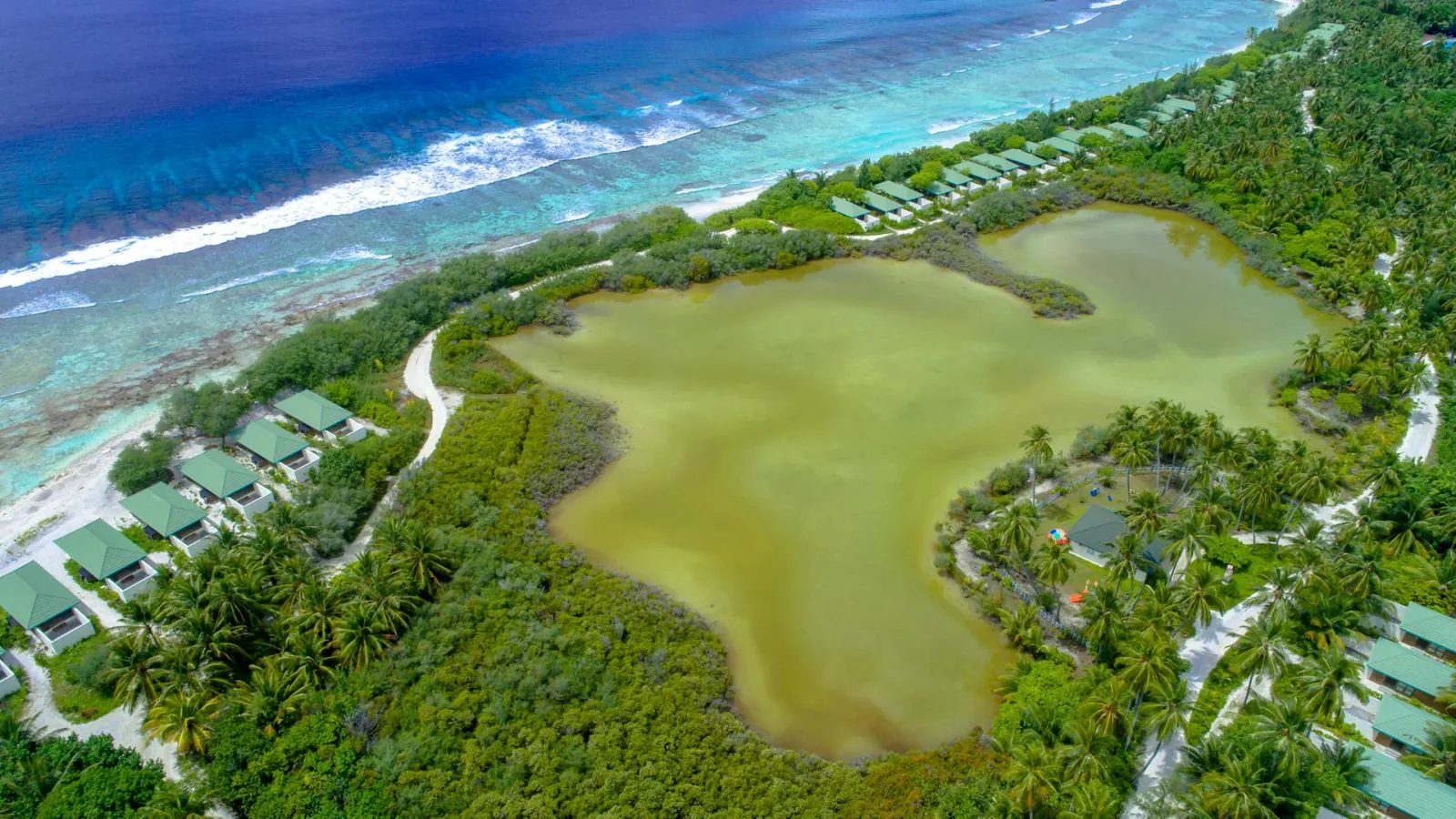 Dhiffushi