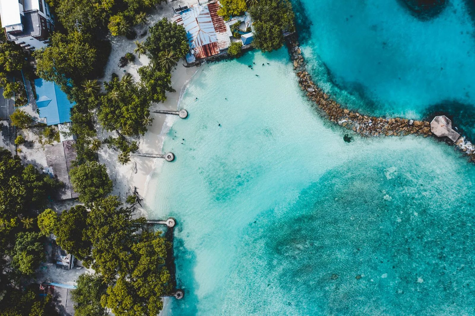 The village shore and its reef, from above