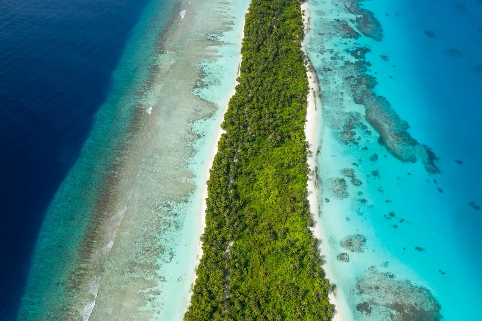 Dhigurah · whaleshark bay