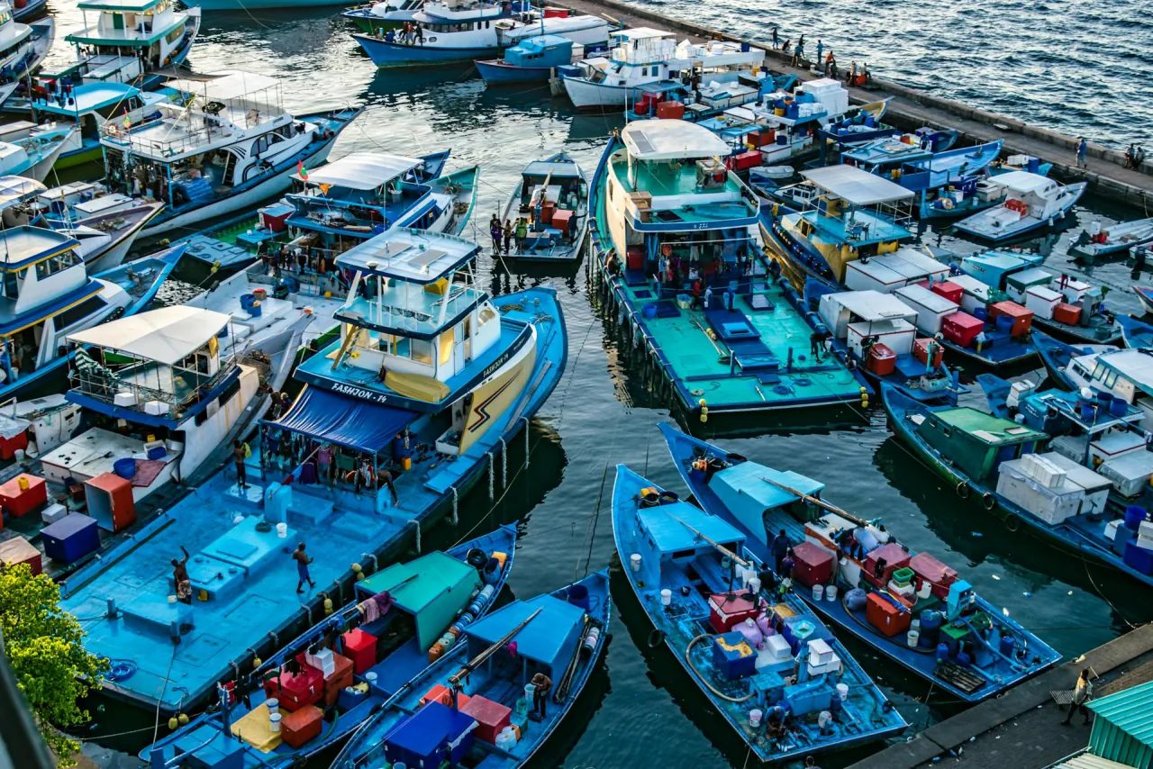 Fishing boats at the harbour