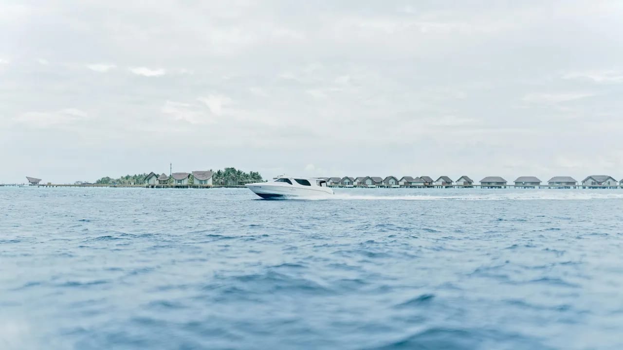 A sandbar at low tide