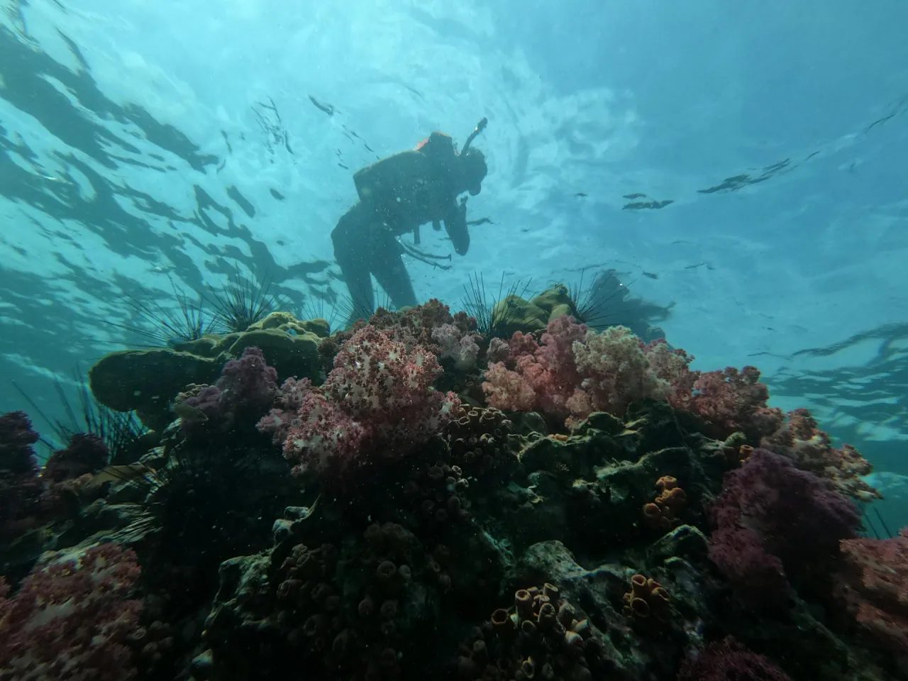 The first descent