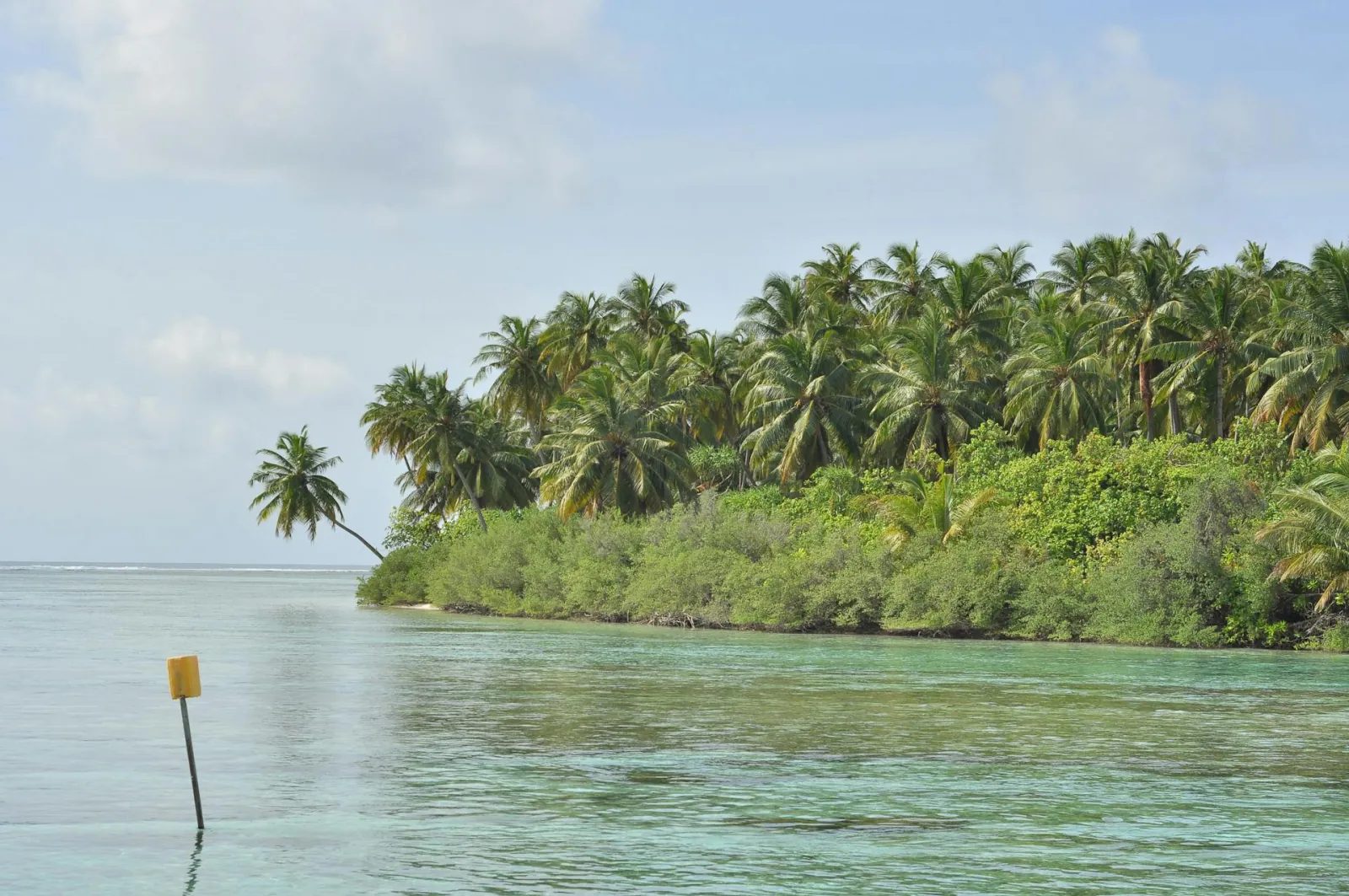 Thoddoo · farming atoll