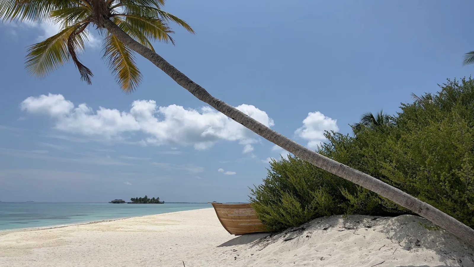 A boat pulled up under the palms