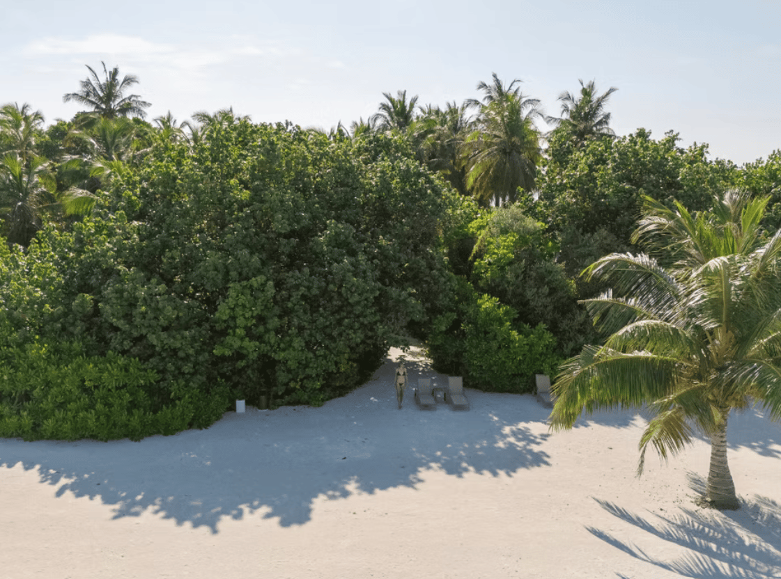 Beach Suite with Pool · One bedroom · plunge