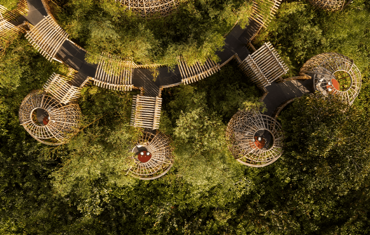 Terra · Treehouse · contemporary