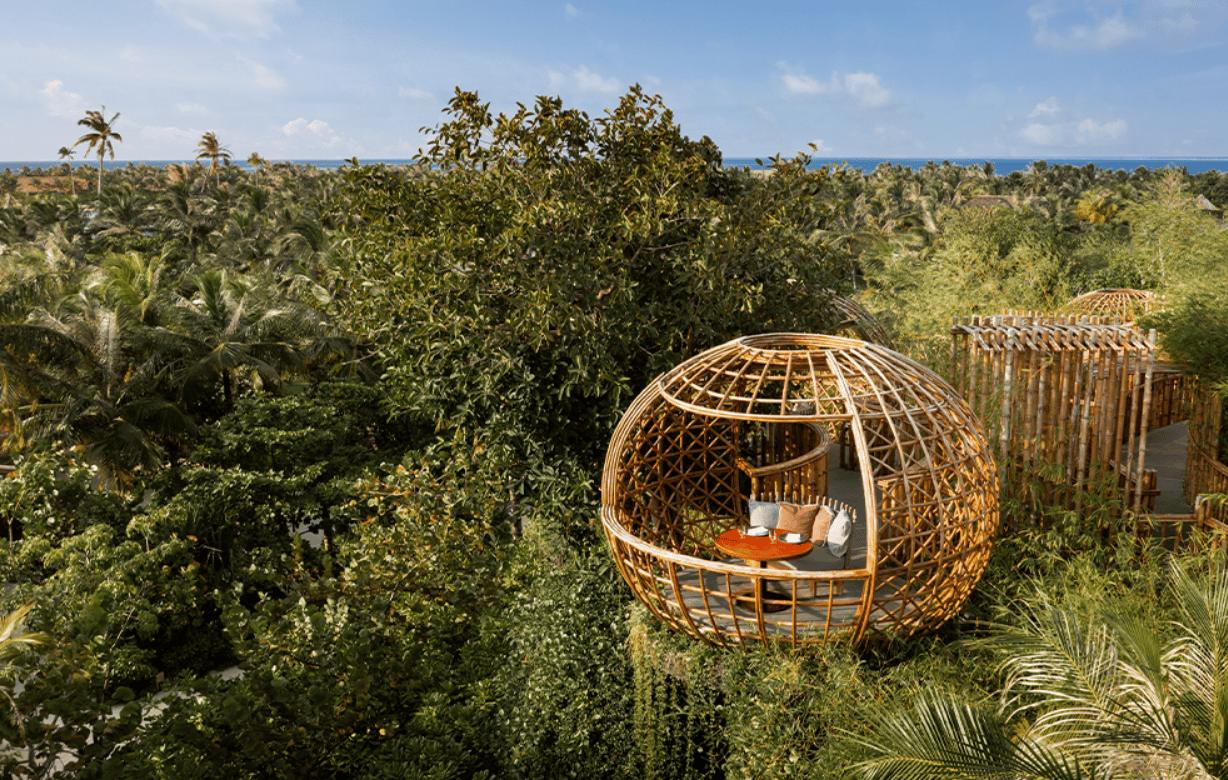 Terra · Treehouse · contemporary